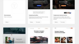 TILDA как добавить политику конфиденциальности