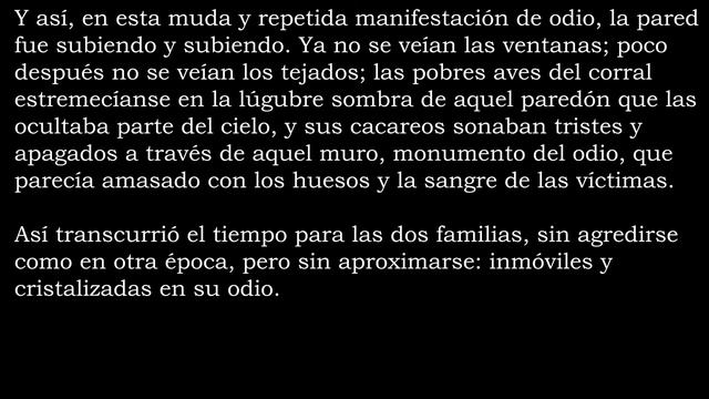 LA PARED - Vicente Blasco Ibañez - AUDIOLIBRO - Cuento en español смотреть онлайн