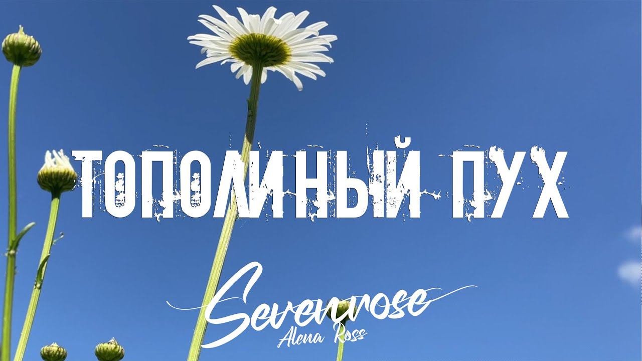 ТОПОЛИНЫЙ ПУХ ♫♬/ SEVENROSE feat. Алена Росс ♫♬ смотреть онлайн