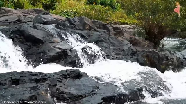 50 Most Beautiful Violin Classical Music Pieces For Stress Relief, Studying, Meditation, Relaxation