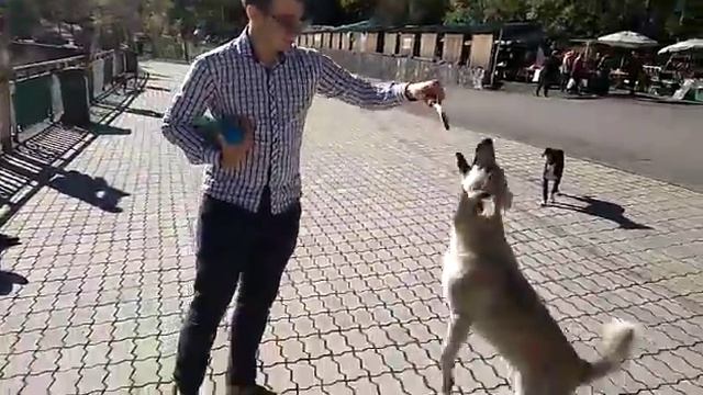 Река Бзыпь смотреть онлайн