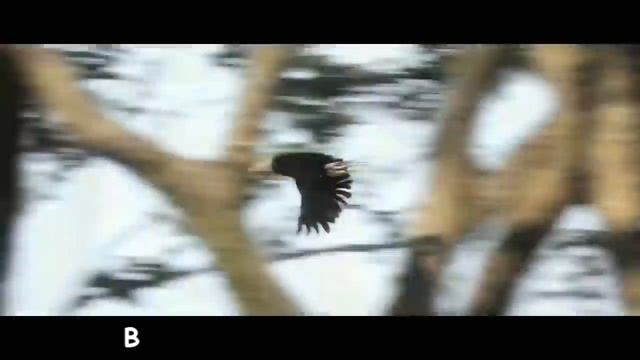 топ 5 лучших литералов ассасин скрит смотреть онлайн