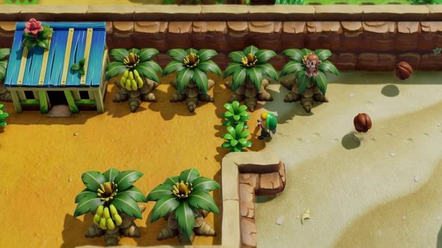 The Legend Of Zelda: Link's Awakening ~Fix Shader Cache | Ryujinx PR 1.0.0+78c7b6a | 4K 60FPS Switc