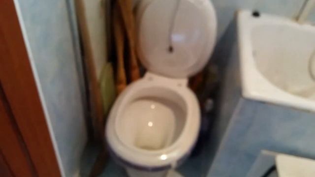 Однако редкий экземпляр унитаза.