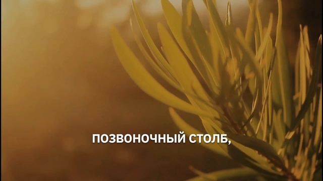 Что такое тантра и не тантра?