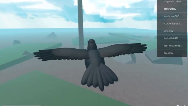 محاكي الطيور roblox смотреть онлайн