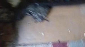 Решение проблемы штатной магнитолы ТOYOTA COROLLA E 120