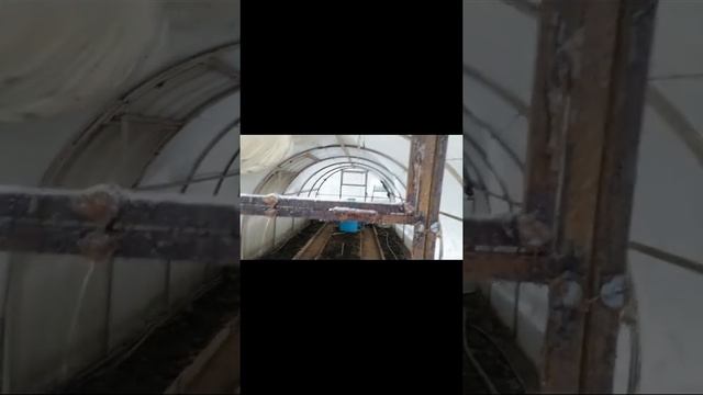 Пожар на дачах - ущерб от пожара смотреть онлайн