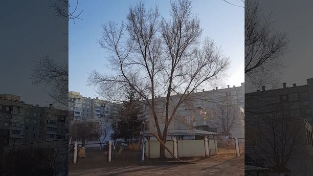 Зяблики прилетели смотреть онлайн