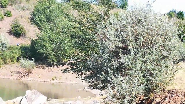 ТАЦИНСКИЙ СТАРЫЙ КАРЬЕР - ЗАТЕРЯННЫЙ МИР.../ ЗВЕРЕВО - ВОЯЖ / лето 2018 г. смотреть онлайн