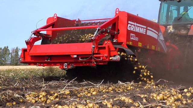 Защита посадок картофеля. Часть 2. Тульская область