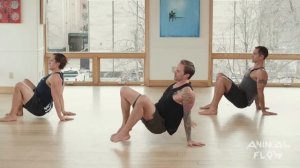 Animal Flow 30-Minute Beginner Level Class