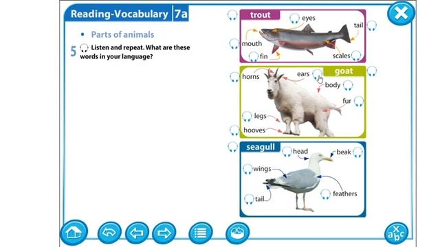 Grade 5 Module 7 Parts of animals Ex.5p.87 смотреть онлайн