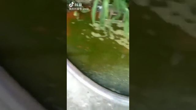 food waste disposer смотреть онлайн