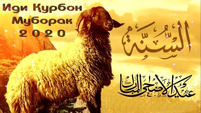 ИДИ КУРБОН БА ХАМАИ МУСАЛМОНОН МУБОРАК ВСЕМ Поздравляю с курбан-байрам смотреть онлайн