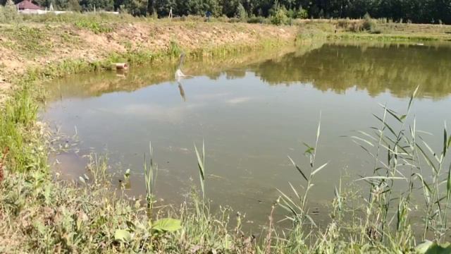 Рыбалка полное видео смотреть онлайн