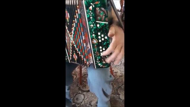 КЛАССНЫЙ ГАРМОНИСТ ДЯДЯ МИША ПЕРМЯКОВ! УЧАСТНИК ТЕЛЕПЕРЕДАЧИ ЗАВОЛОКИНЫХ ИГРАЙ ГАРМОНЬ СТ. РОГОВСКА смотреть онлайн