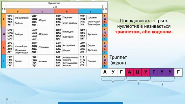 Нуклеотид, РНК, АТФ, НАД смотреть онлайн