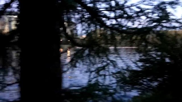 VID 20220523 221437 Венеция (Н. Гумилёв)... Павел Васильев Лахтинский смотреть онлайн