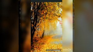 Мощный басс.Dabro remix-улетай на крыльях ветра