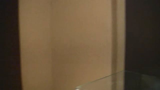 Zaraisk смотреть онлайн