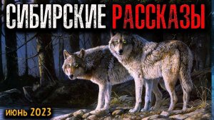 СИБИРСКИЕ РАССКАЗЫ | Страшные истории