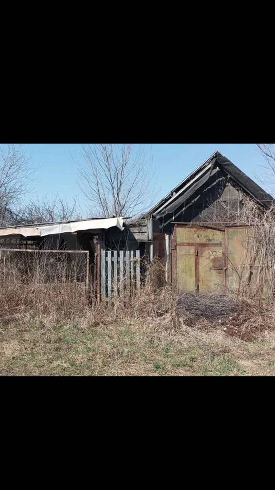 Первый день на даче