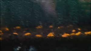 КОРДИЦЕПС: НЕДЕЛЯ ПОСЛЕ ЗАРАЖЕНИЯ НАСЕКОМЫХ. ГРИБ ИЗ THE LAST OF US! Часть 2