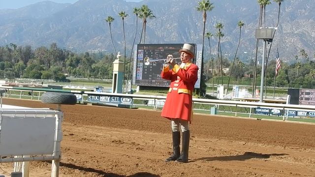 Horse Racing Horn - Bugle Call at Santa Anita Park (October 2014) смотреть онлайн