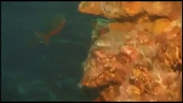 Пирамиды Египта Интересные факты смотреть онлайн