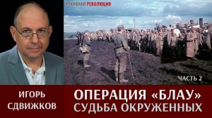 Игорь Сдвижков. Операция "Блау". Судьба окружённых. Часть 2