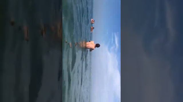 дельфины на пляже Анапа Витязево