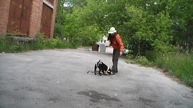 Тренинг танец ковбой смотреть онлайн