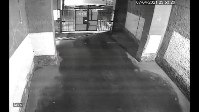 Любой психиатр скажет... смотреть онлайн