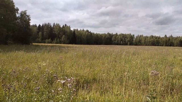 Участок 30 соток ИЖС Наро-Фоминск смотреть онлайн