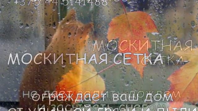МОСКИТНЫЕ СЕТКИ в Гомеле MOSQUITO NET on the WINDOW in Gomel смотреть онлайн