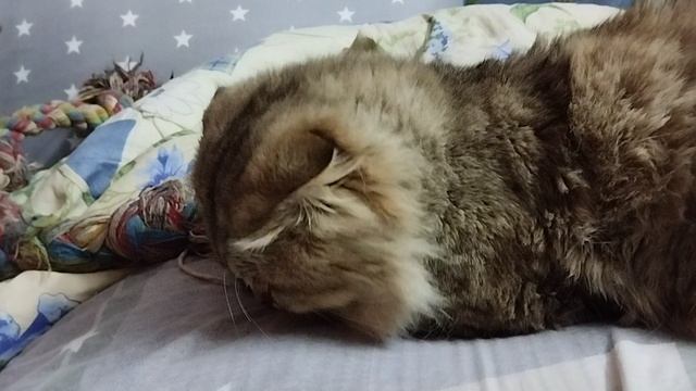 Любимая игрушка!!!!!!Ни кому её не дам))))