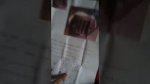 Обзор поющей и танцующей игрушки лягушки Крэйзи квак