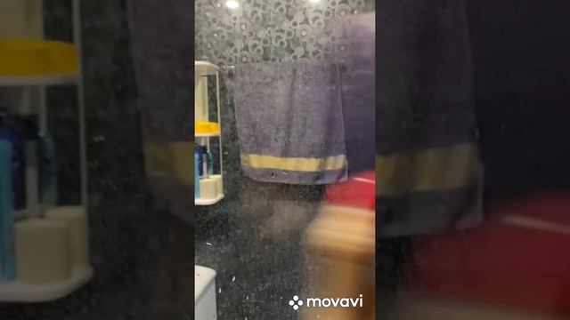 Диск Инвольвер,Паста Мистик и Салфетка для стекла Гринвей