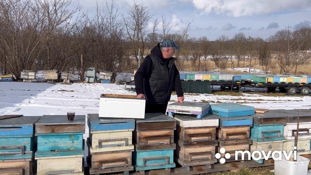 Альтернатива для ППС, ППУ ульев. Донья и крыши из дерева. смотреть онлайн