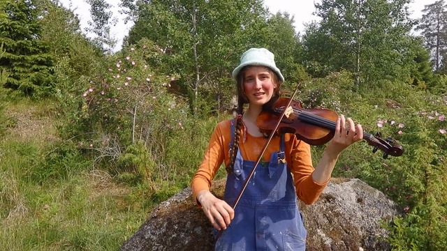 Village Idiot Waltz - Scandi Folk Tune смотреть онлайн