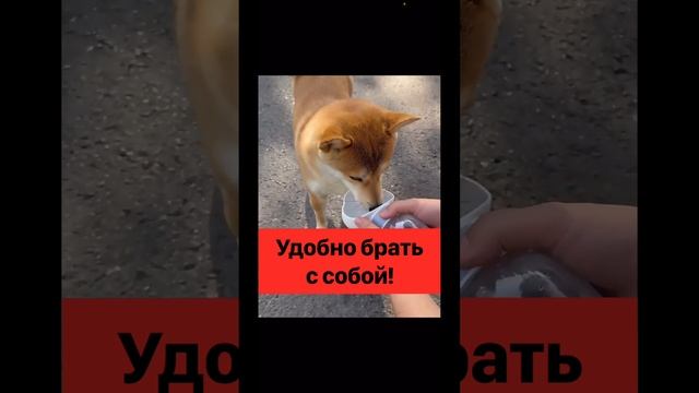 Поилка бутылка для собак смотреть онлайн