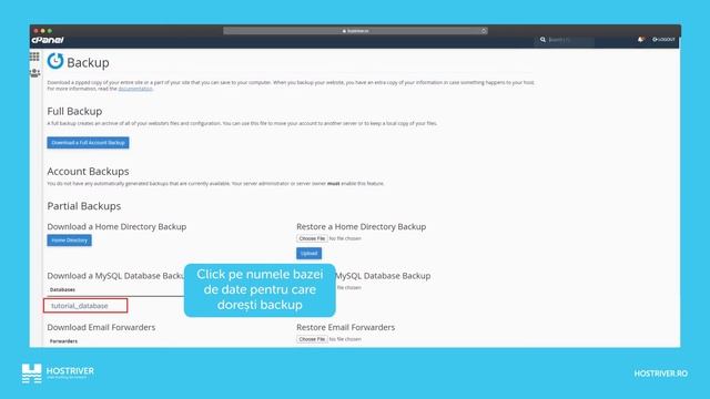 Cum pot face backup la baza de date MySQL, din cPanel? смотреть онлайн