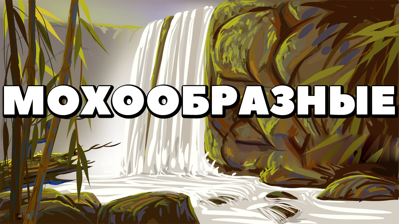 ЕГЭ по БИОЛОГИИ.Ботаника.Мохообразные.Общая характеристика мхов..mp4