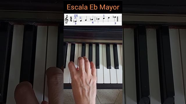 Escala Eb Mayor 😉-DIGITACION PIANO-🎹👌 #piano #teoriamusical смотреть онлайн