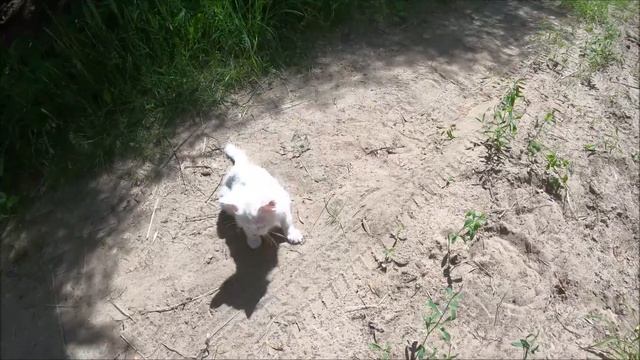 Неприятности чередой, но жизнь продолжается смотреть онлайн