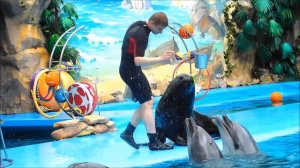 VLOG Дельфинарий Немо (Dolphinarium Nemo)