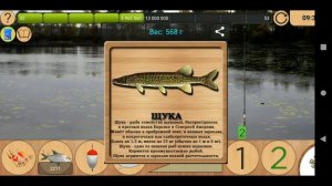 ? Квест "Проклятая щука" [NEW] ? | Реальная Рыбалка