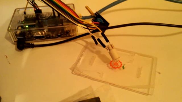 OrangePi Pc blinking led test led intermitente смотреть онлайн