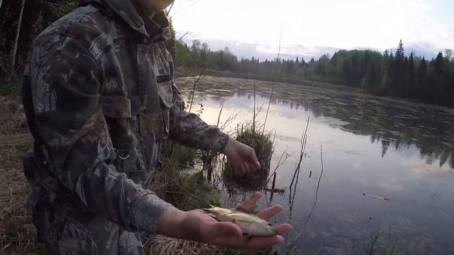 РЫБАЛКА НА ЛЕСНОМ ПРУДУ | ДИКИЕ ПОКЛЁВКИ НА КАЖДОМ ЗАБРОСЕ | ОТКРЫТИЕ СЕЗОНА | БОЛЬШОЙ КАРАСЬ смотреть онлайн